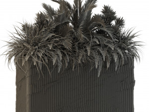 Plants collection 431 3D Model