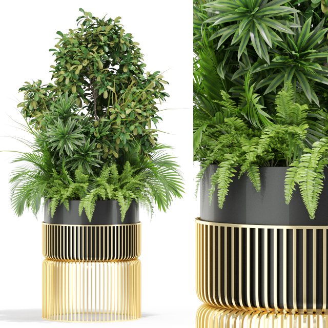 Plants collection 432 3D Модель .c4d .max .obj .3ds .fbx .stl .blend 