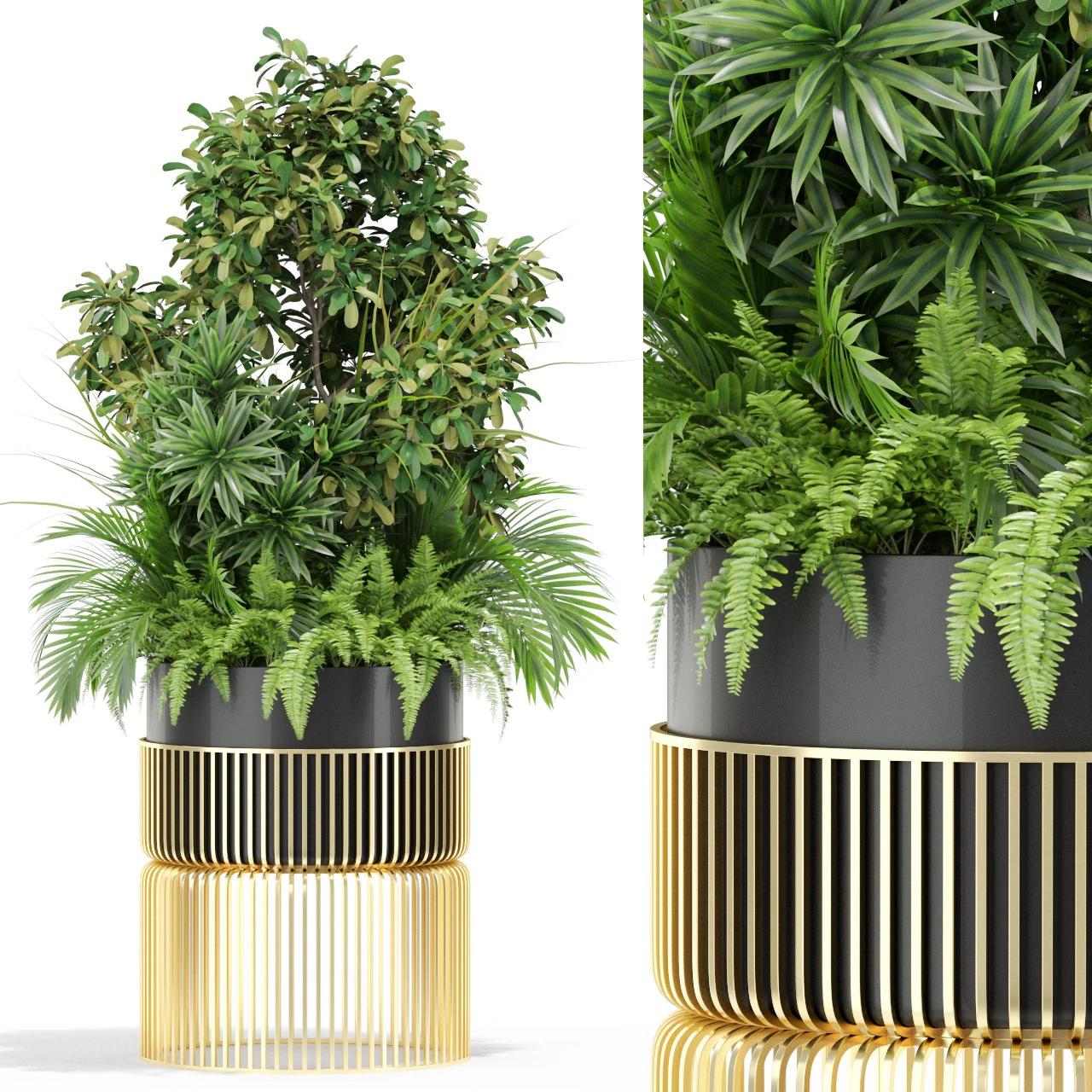 Plants collection 432 3D Model .c4d .max .obj .3ds .fbx .stl .blend 