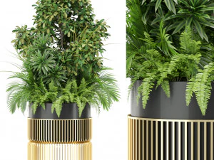 Коллекция растений 432 3D Модель