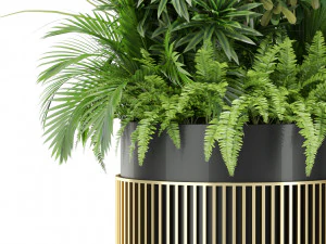 Plants collection 432 3D Model
