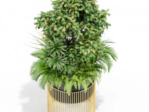 Plants collection 432 3D Model