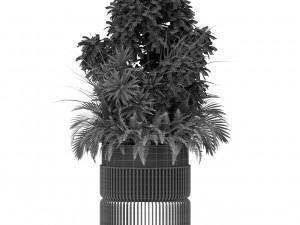 Plants collection 432 3D Модель