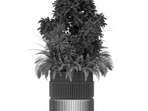 Plants collection 432 3D Model