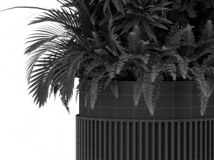 Plants collection 432 3D Модель