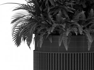 Plants collection 432 3D Model