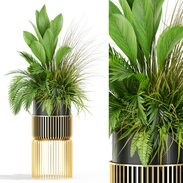Plants collection 433 3Dモデル .c4d .max .obj .3ds .fbx .stl .blend 