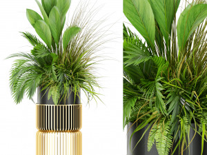 Plants collection 433 3D मॉडल