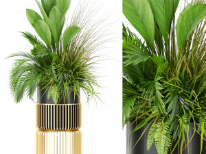 Коллекция растений 433 3D Модель