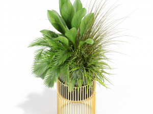Plants collection 433 3Dモデル