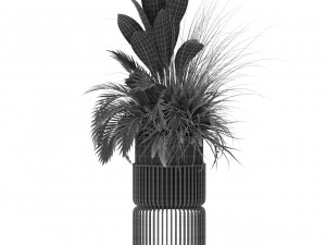 Plants collection 433 3Dモデル