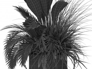 Plants collection 433 3Dモデル