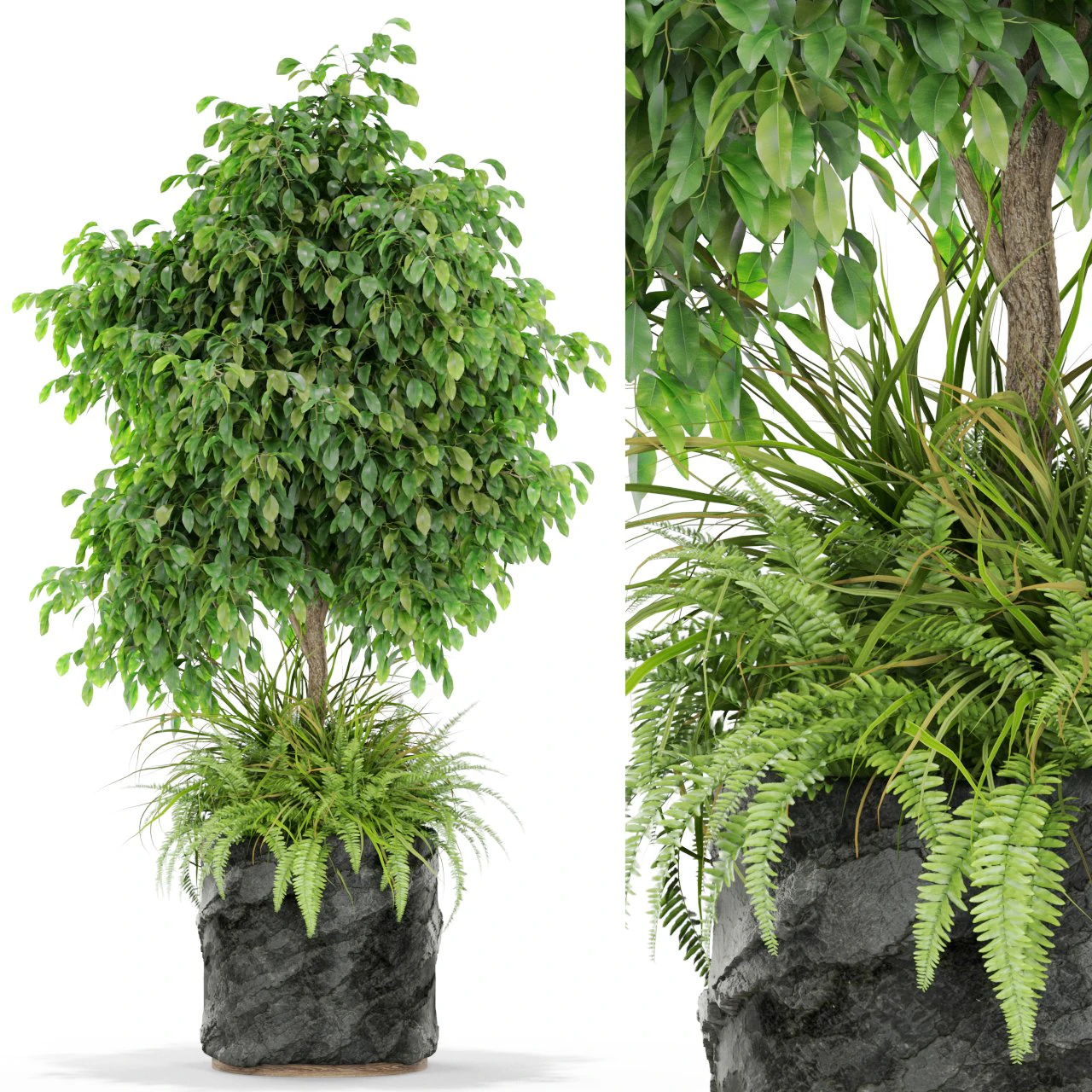 Plants collection 434 3D Model .c4d .max .obj .3ds .fbx .stl .blend