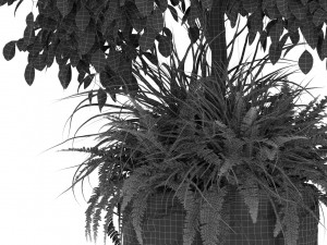 Plants collection 434 3D Model