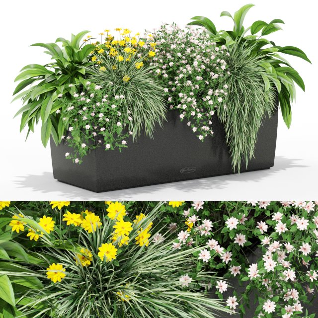 Plants collection 435 3D Model .c4d .max .obj .3ds .fbx .stl .blend 