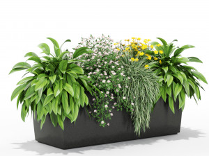 Plants collection 435 3D Model