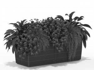 Plants collection 435 3D Model