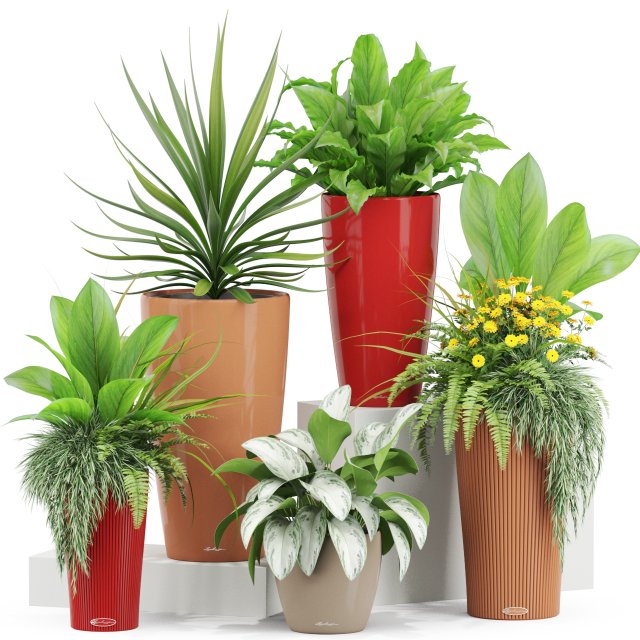 Plants collection 436 3D मॉडल .c4d .max .obj .3ds .fbx .stl .blend 