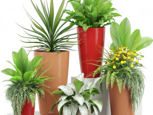 Коллекция растений 436 3D Модель