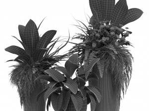 Plants collection 436 3D मॉडल