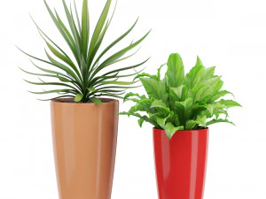 Plants collection 436 3D Model