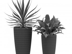 Plants collection 436 3D मॉडल