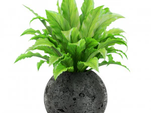 Plants collection 437 3D Model