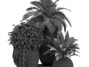 Plants collection 437 3D Модель
