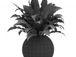 Plants collection 437 3D Модель