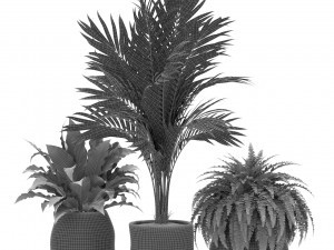 Plants collection 438 3D Модель