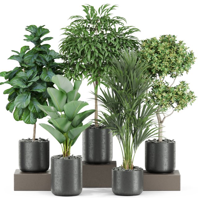 Plants collection 440 3Dモデル .c4d .max .obj .3ds .fbx .stl .blend 