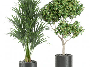 Plants collection 440 3D Model
