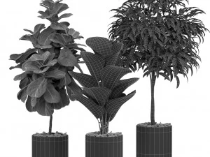 Plants collection 440 3D Model
