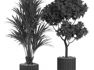 Plants collection 440 3D Model