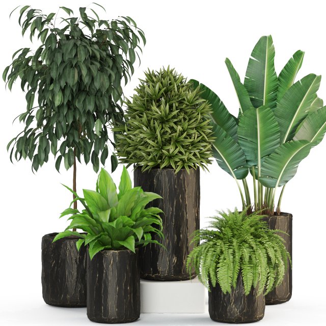 Plants collection 441 Model 3D .c4d .max .obj .3ds .fbx .stl .blend 