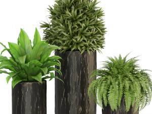 Plants collection 441 Model 3D