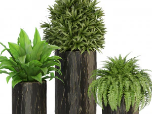 Plants collection 441 3D Model