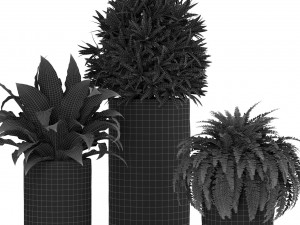 Plants collection 441 Model 3D