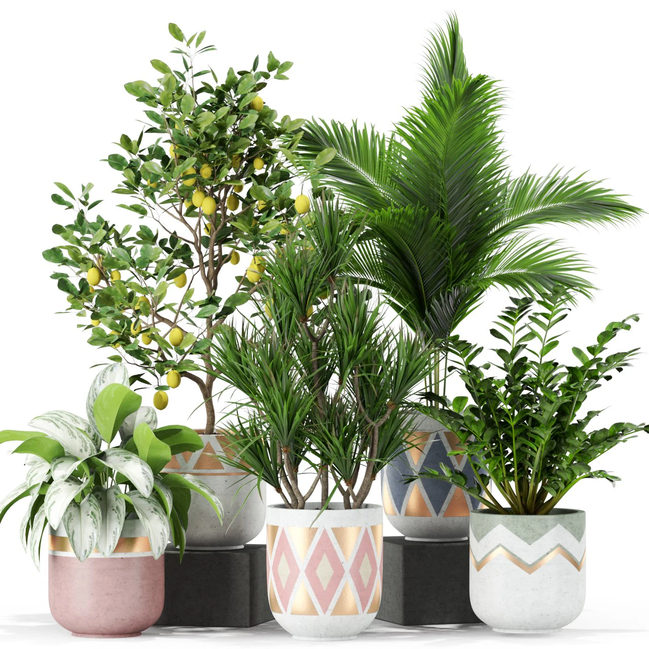 Plants collection 442 3D Model .c4d .max .obj .3ds .fbx .stl .blend 