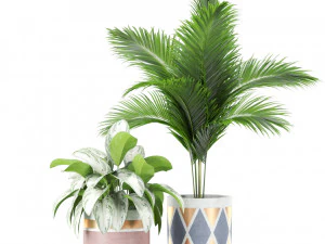 Plants collection 442 3D Model
