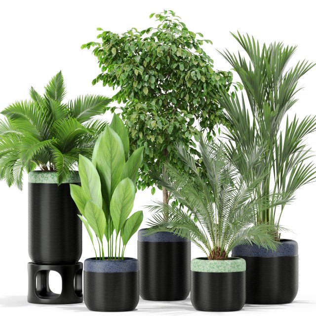 Plants collection 443 Modelo 3D .c4d .max .obj .3ds .fbx .stl .blend 