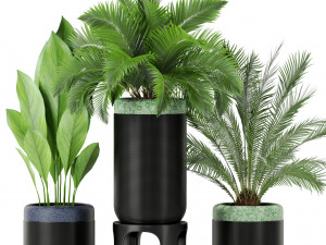 Plants collection 443 Modelo 3D