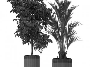 Plants collection 443 3D Model
