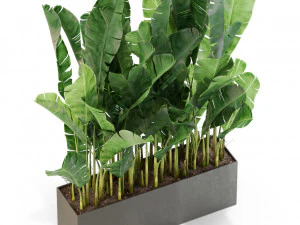 Plants collection 444 3D Model