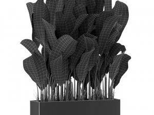 Plants collection 444 3D Model