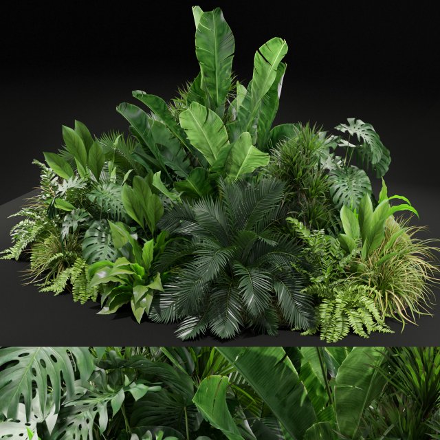 Plants collection 445 Modèle 3D .c4d .max .obj .3ds .fbx .stl .blend 