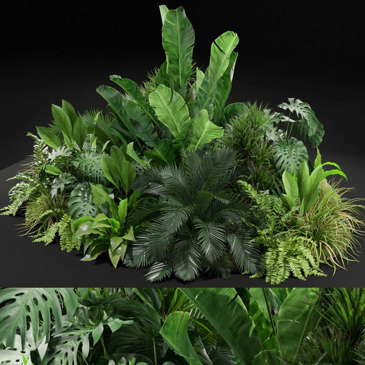 식물 채집 445 3D 모델 .c4d .max .obj .3ds .fbx .stl .blend 