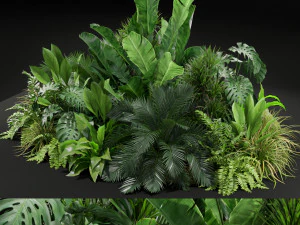 Colecci&oacute;n de plantas 445 Modelo 3D