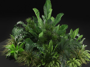 Plants collection 445 Modèle 3D