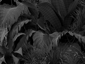 Plants collection 445 Modèle 3D